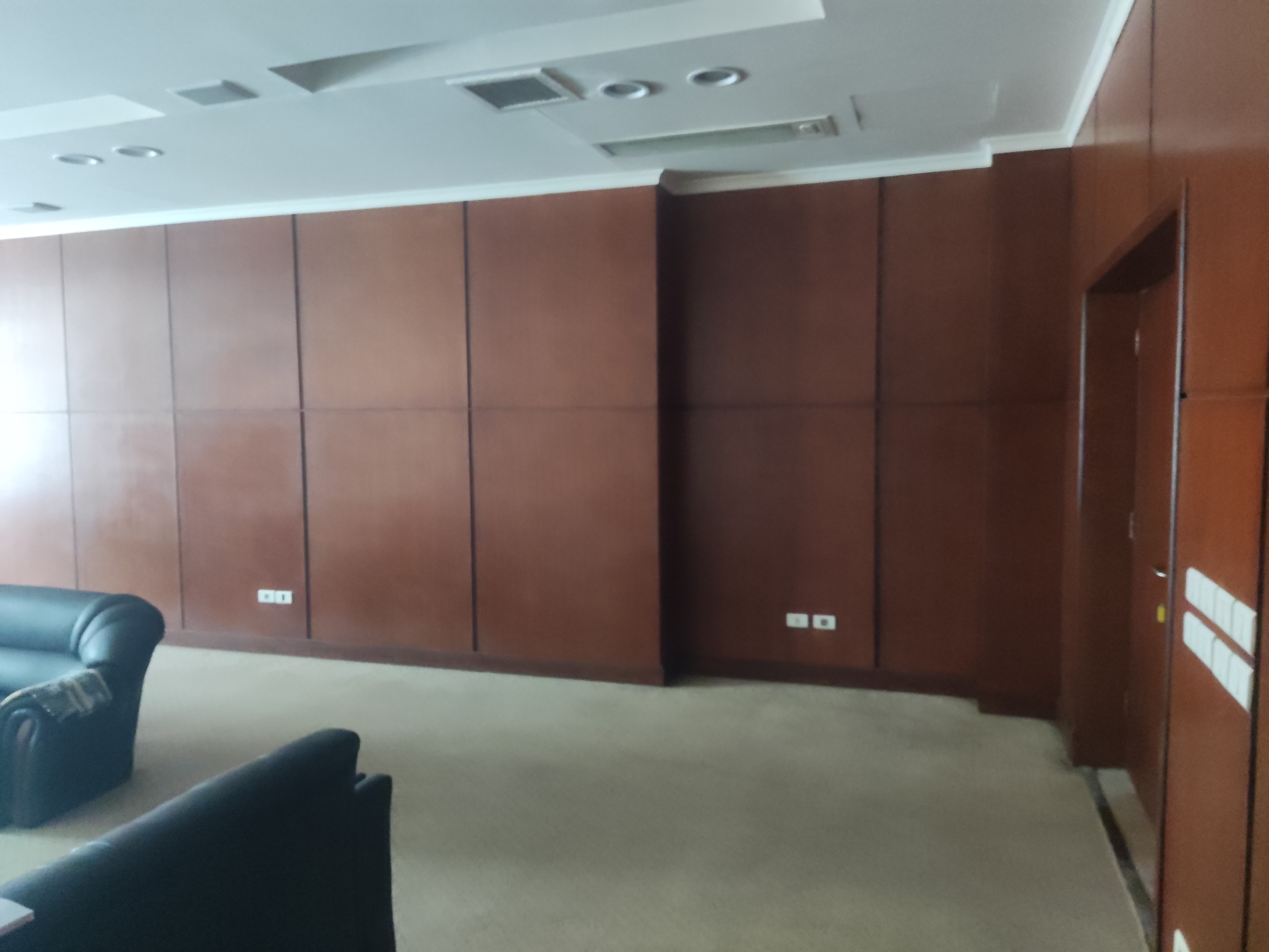 Finishing of TEDA VIP Hall